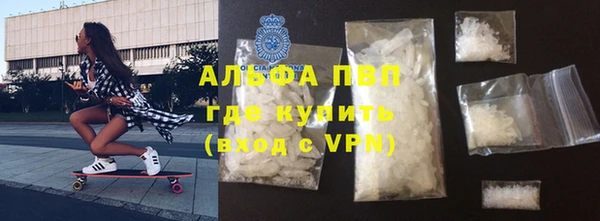 индика Дмитровск