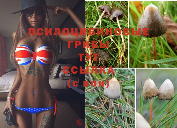 mix Каменка
