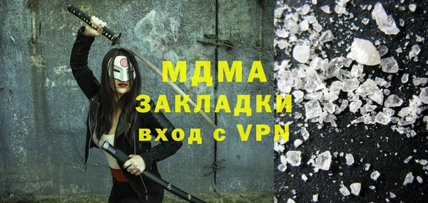 индика Дмитровск