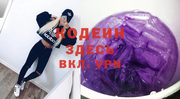 индика Дмитровск