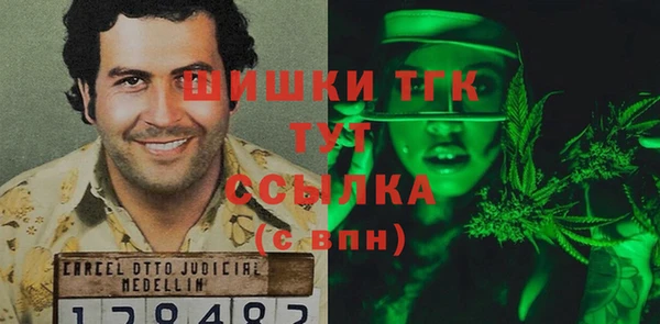 индика Дмитровск