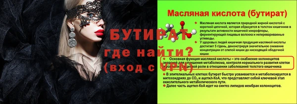 индика Дмитровск