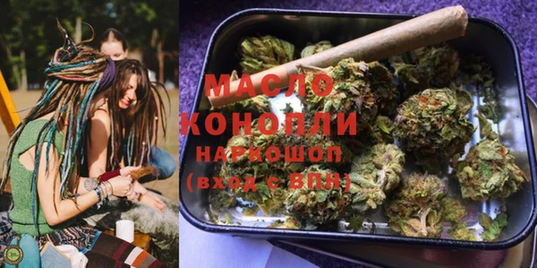 индика Дмитровск